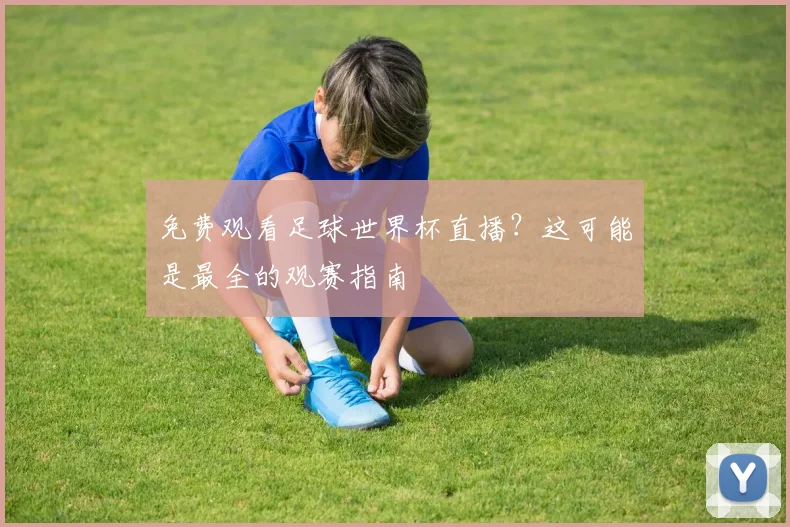 免费观看足球世界杯直播?这可能是最全的观赛指南